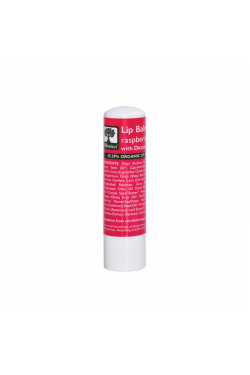 Φυσικό Lip balm για τα χείλη βατόμουρο Bioselect